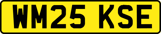 WM25KSE