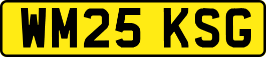 WM25KSG