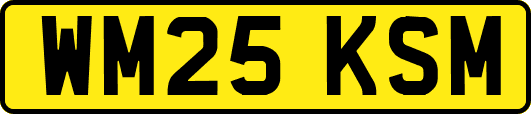 WM25KSM