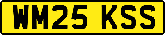 WM25KSS