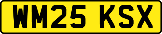 WM25KSX