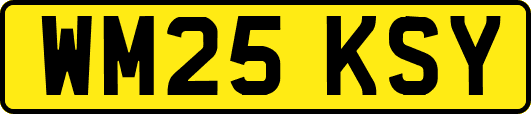 WM25KSY