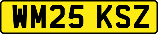 WM25KSZ