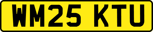 WM25KTU
