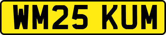 WM25KUM