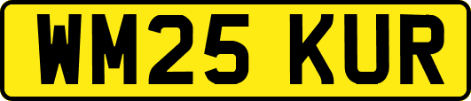WM25KUR
