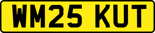 WM25KUT
