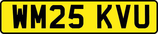 WM25KVU