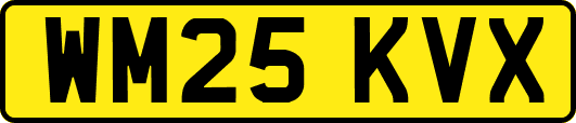 WM25KVX
