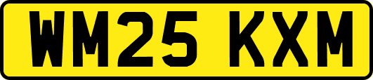 WM25KXM