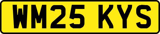 WM25KYS