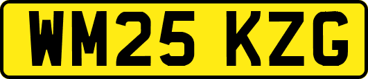 WM25KZG