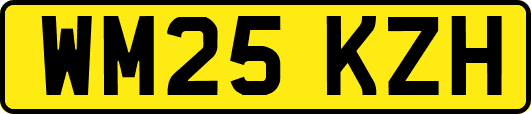 WM25KZH