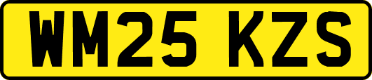 WM25KZS
