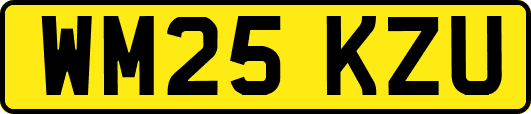 WM25KZU
