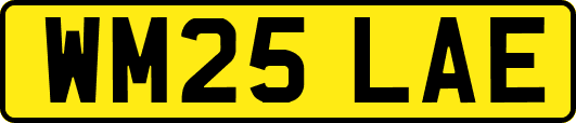 WM25LAE