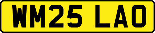 WM25LAO