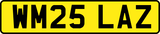 WM25LAZ
