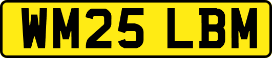 WM25LBM