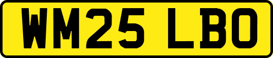 WM25LBO