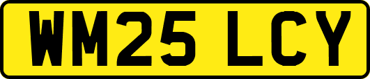 WM25LCY