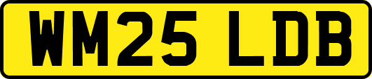 WM25LDB