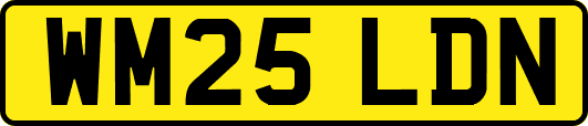 WM25LDN