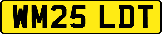 WM25LDT