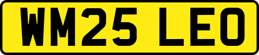 WM25LEO