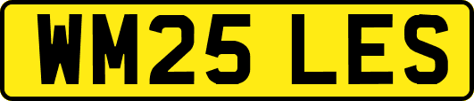 WM25LES