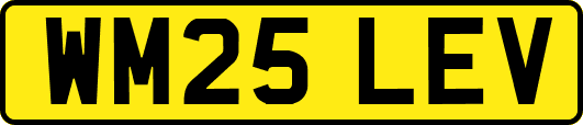 WM25LEV