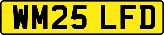WM25LFD