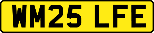 WM25LFE