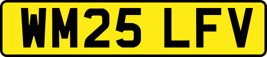 WM25LFV