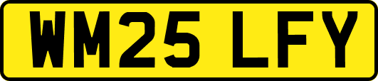 WM25LFY