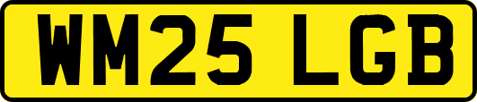 WM25LGB