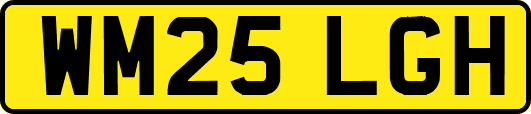 WM25LGH