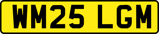 WM25LGM