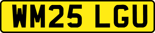 WM25LGU