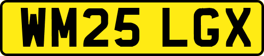WM25LGX