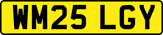 WM25LGY