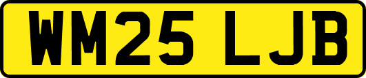 WM25LJB