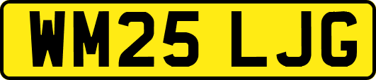WM25LJG