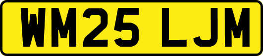 WM25LJM