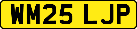WM25LJP