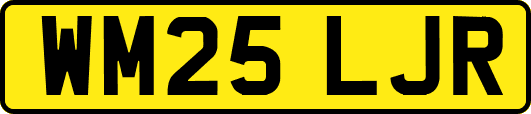WM25LJR