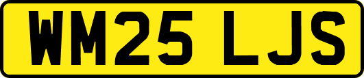 WM25LJS