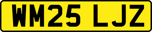 WM25LJZ
