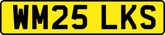 WM25LKS