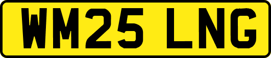 WM25LNG